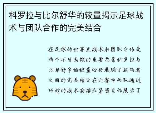 科罗拉与比尔舒华的较量揭示足球战术与团队合作的完美结合