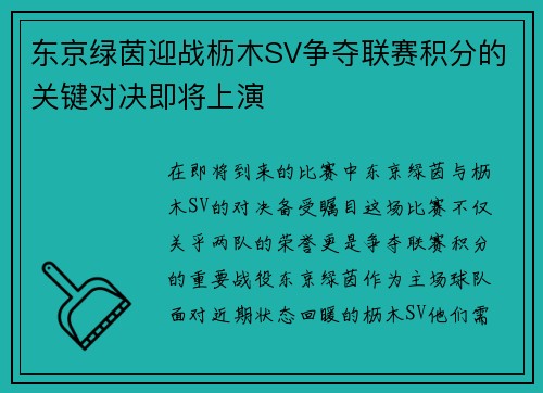东京绿茵迎战枥木SV争夺联赛积分的关键对决即将上演
