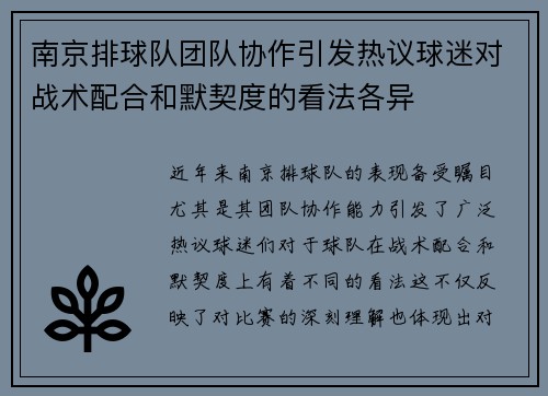南京排球队团队协作引发热议球迷对战术配合和默契度的看法各异