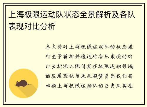 上海极限运动队状态全景解析及各队表现对比分析